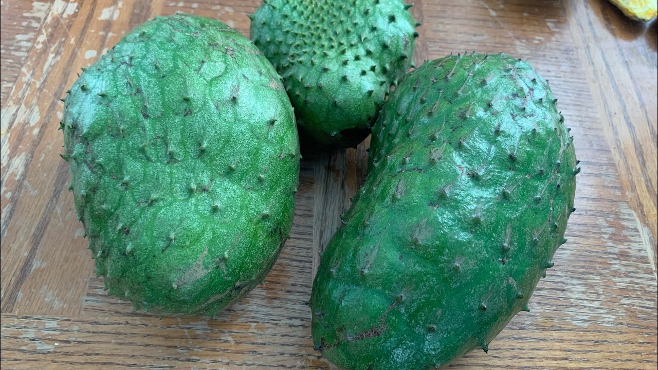 How to Grow Soursop From Seed