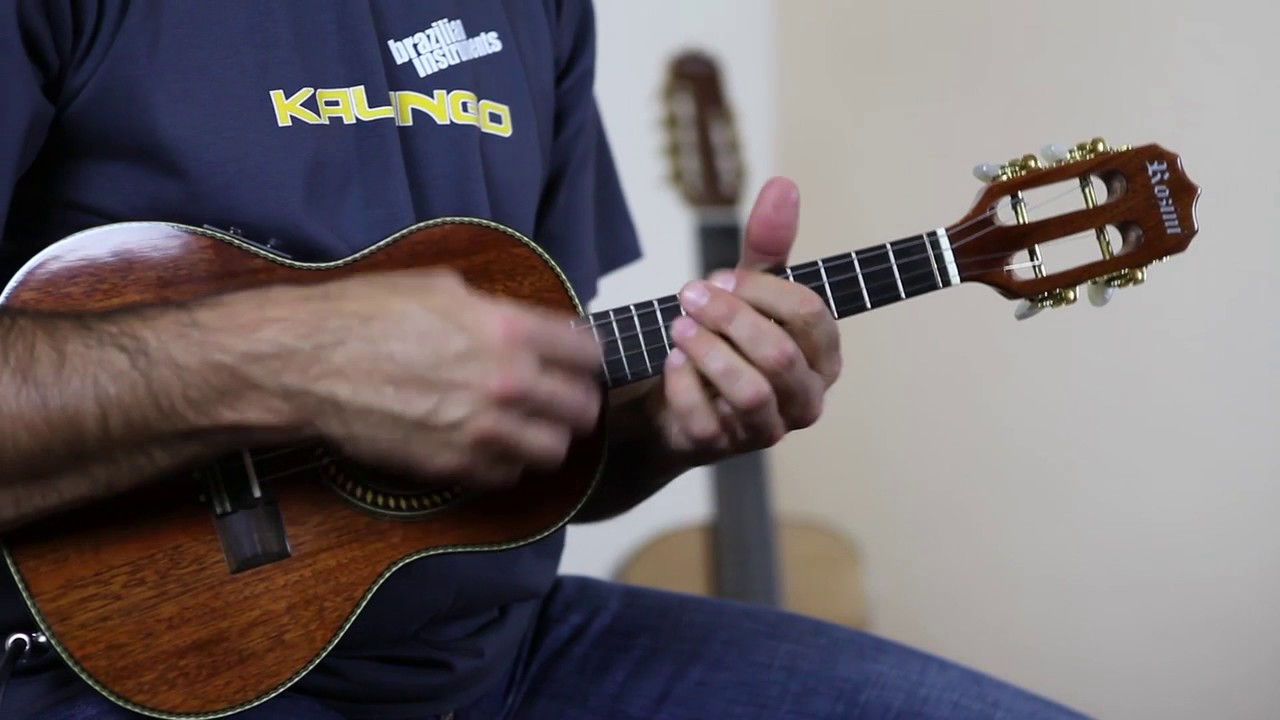 Cavaquinho Estilo el&eacute;ctrico - Rozini (A316080 - kalango.com)