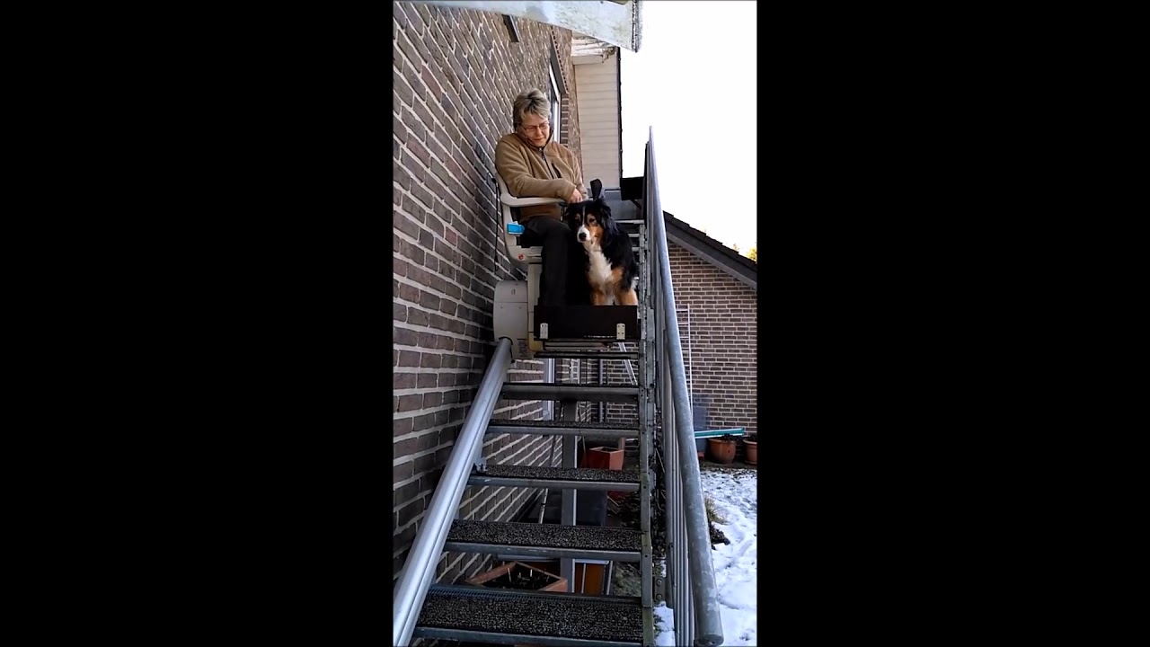 Ein Treppenlift für Hündin Maya 12