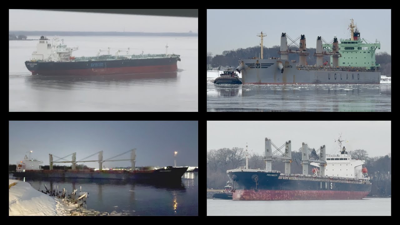 Bulk Carrier’s & Oil Tankers On The Delaware River