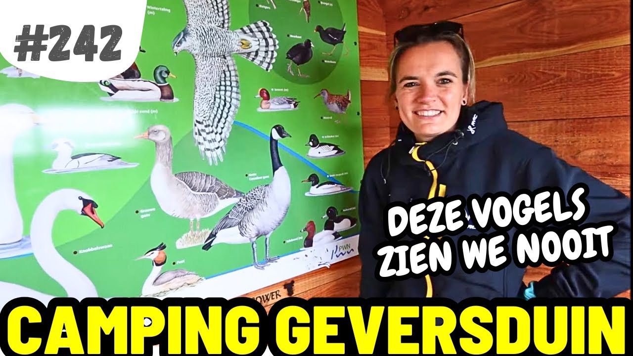 #242 UNIEKE VOGELS SPOTTEN I Camping Geversduin (Castricum)