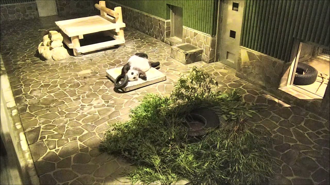 真夜中のタイヤを使った一人舞台