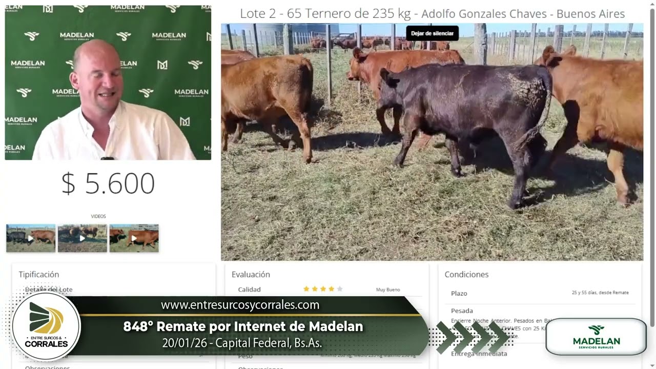 20-01-26 - 848º Remate por Internet de Madelan - Capital Federal, Bs.As.