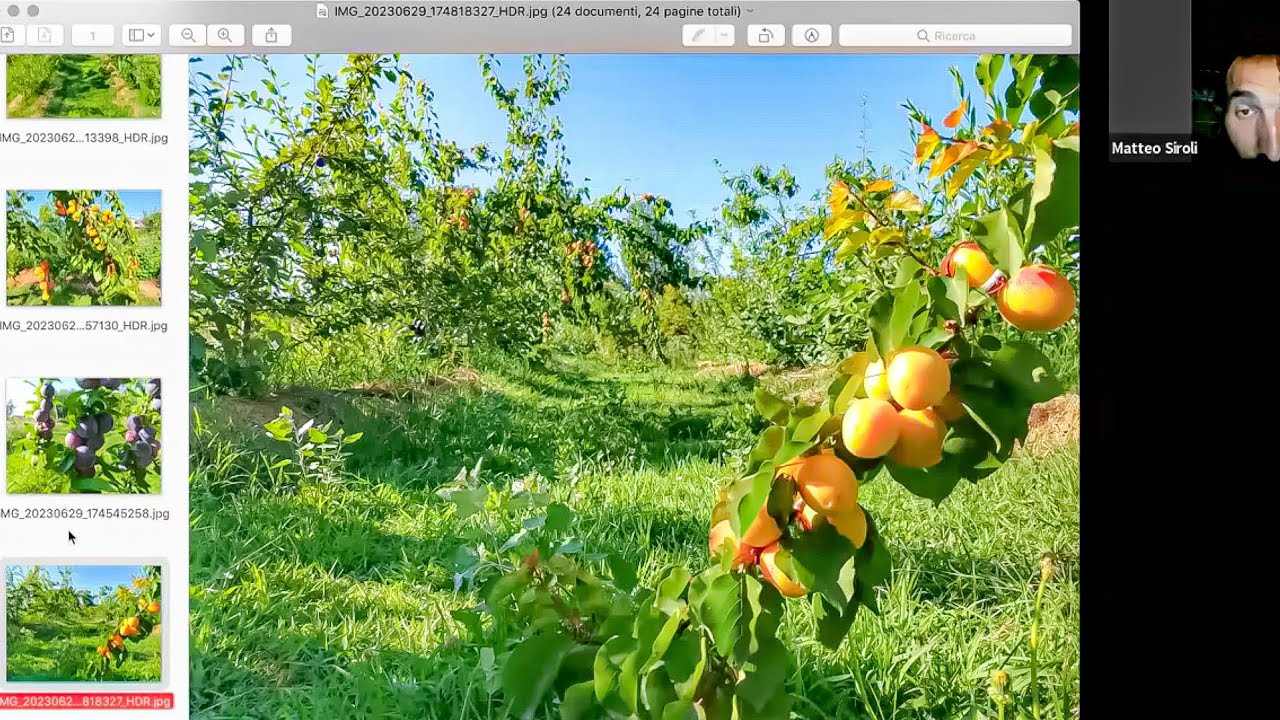 Webinar su Evoluzioni e Dinamiche Agroforestali - (Progetto AGES)