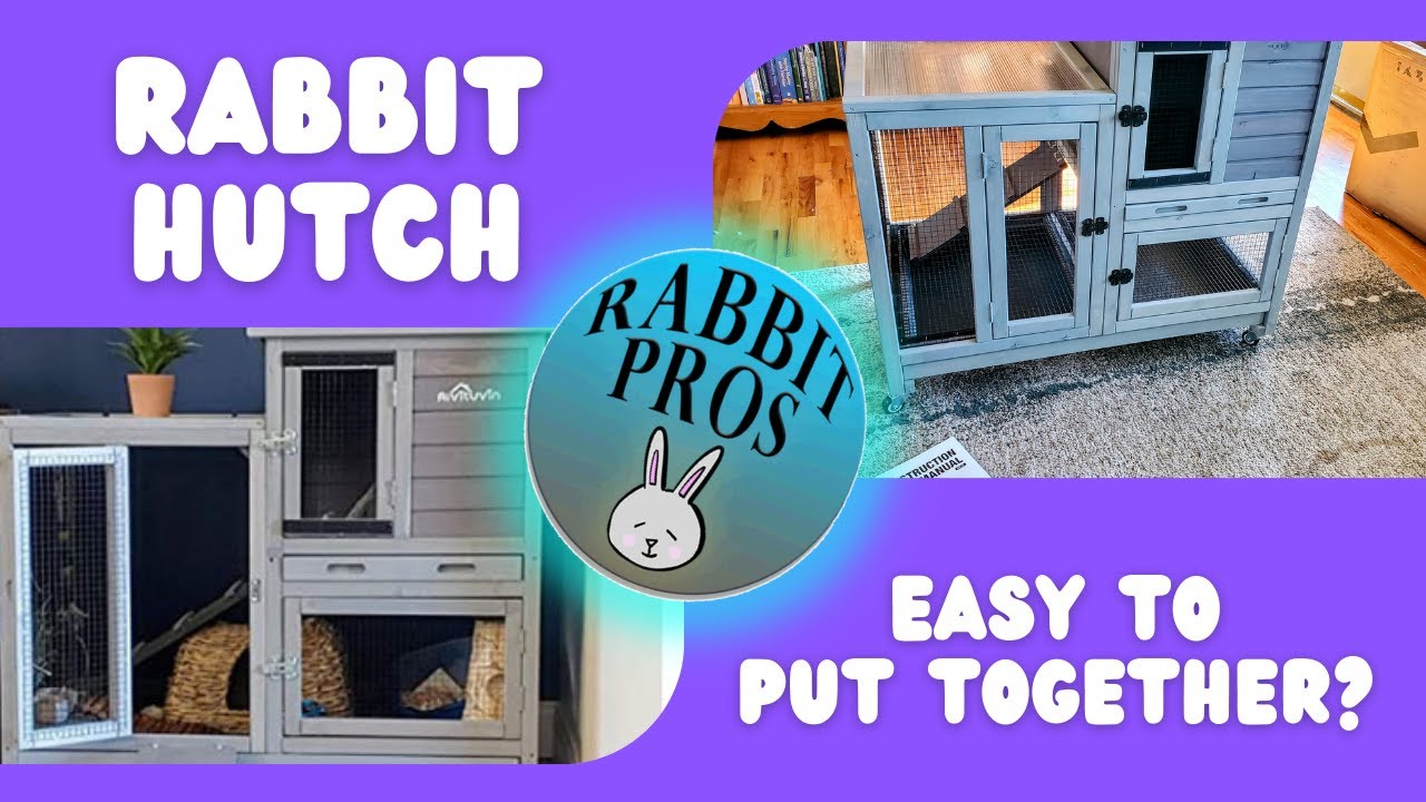 Unboxing & Building The Aivitunin Rabbit Hutch AIR10 From Amazon