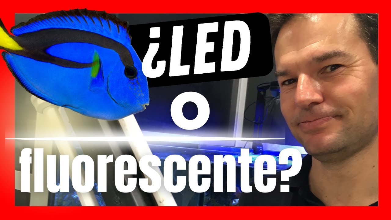 Iluminaci&oacute;n Led para acuarios con tapa 🐠💡