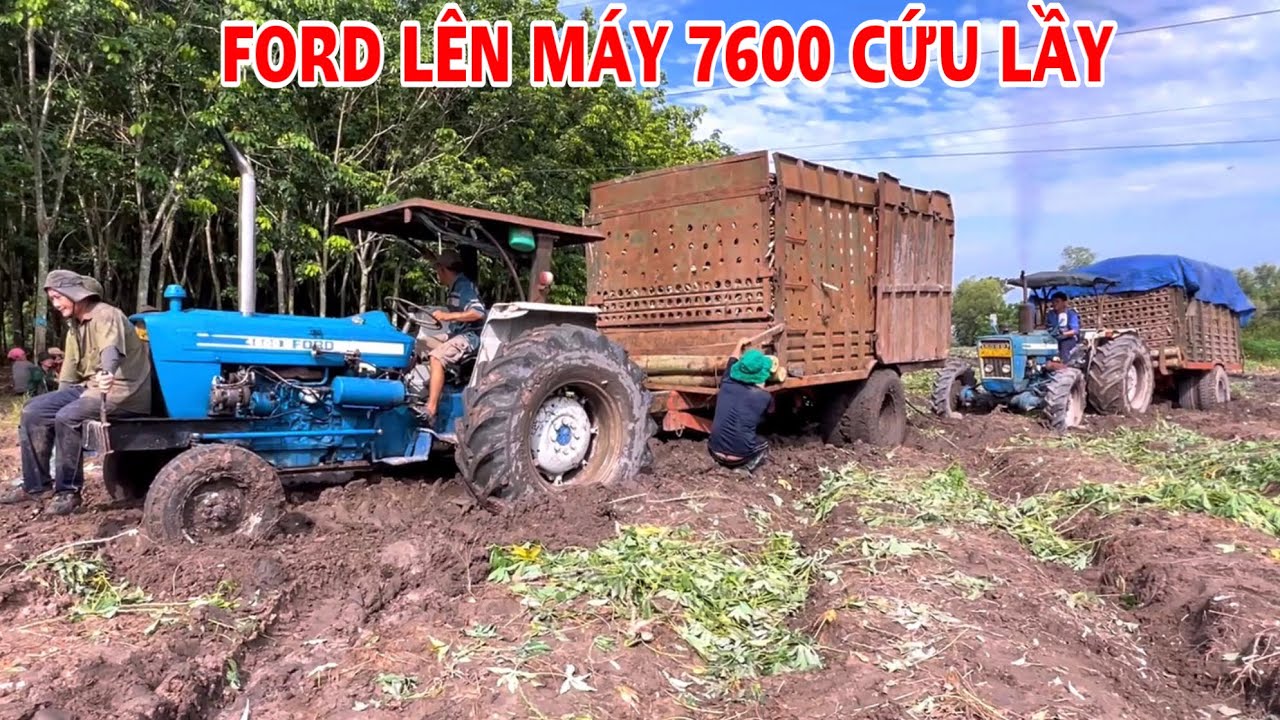 Máy cày ford 4600 gát máy 7600 giải cứu ford 3900 chở củ mì bị xuống bánh, thiện vũ tv