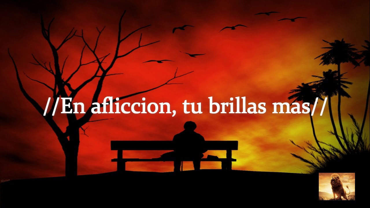 steve green - en afliccion tu brillas mas