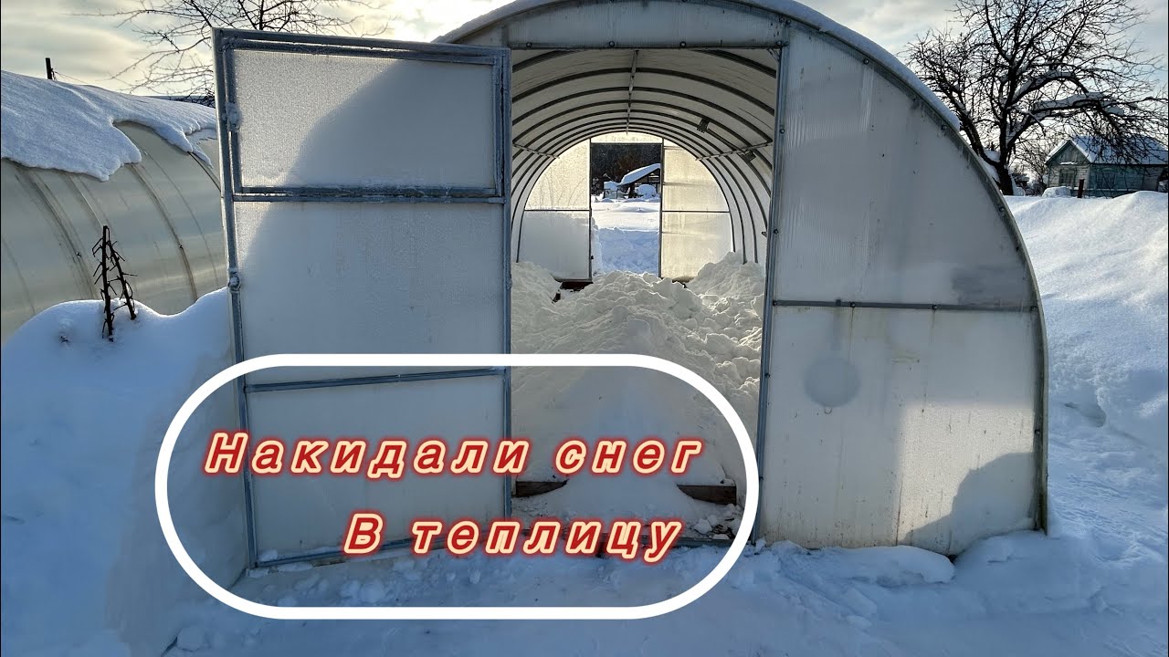 Наш способ хранения чеснока/ Накидали снег в теплицу 🏡