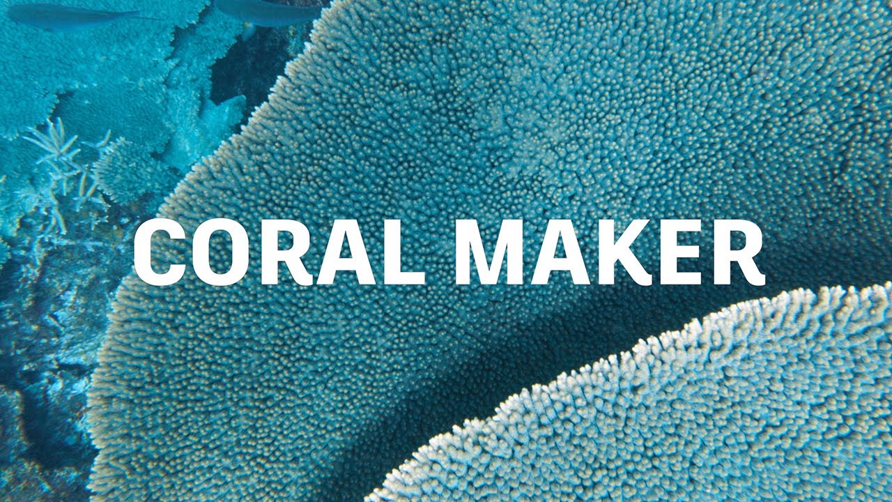 Coral Maker is saving the world&rsquo;s coral reefs with Autodesk