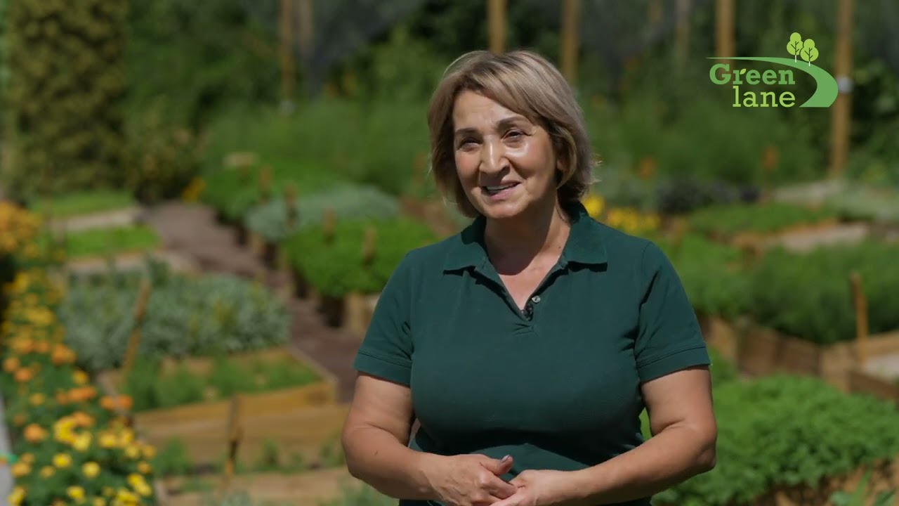 Կաթիլային ոռոգման համակարգ | #GreenTrainingCenter