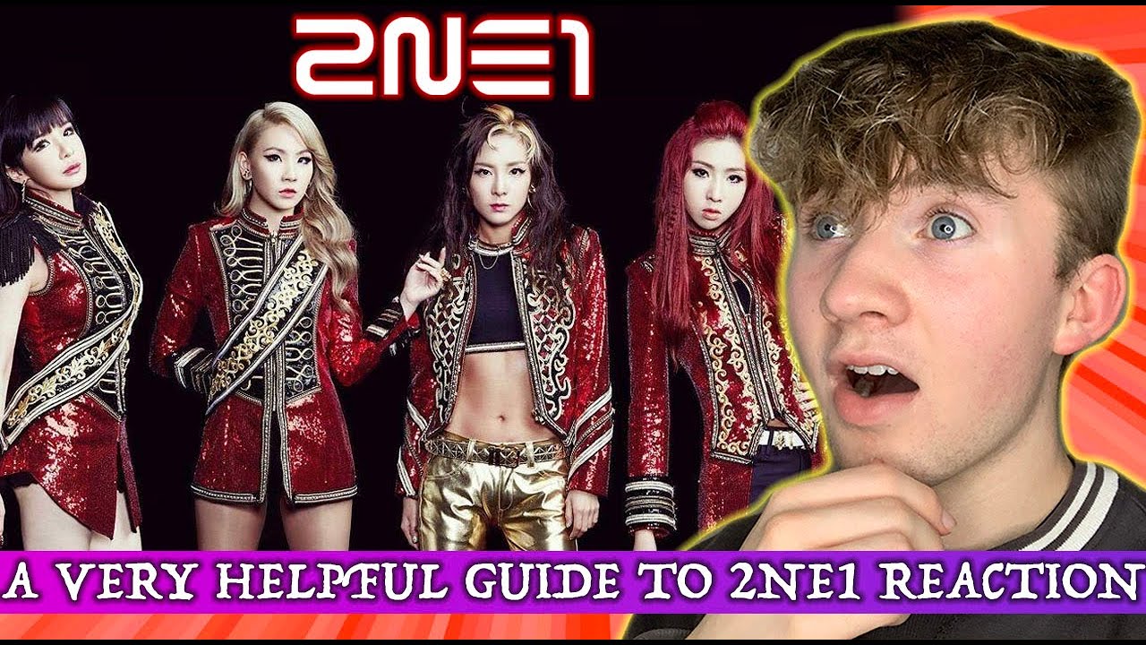 A VERY HELPFUL GUIDE TO 2NE1 REACTION