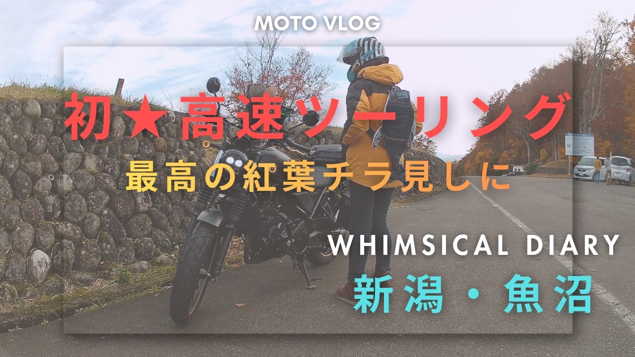 【バイク】超絶恐怖☆初の高速！ちらっと紅葉を拝んできた！