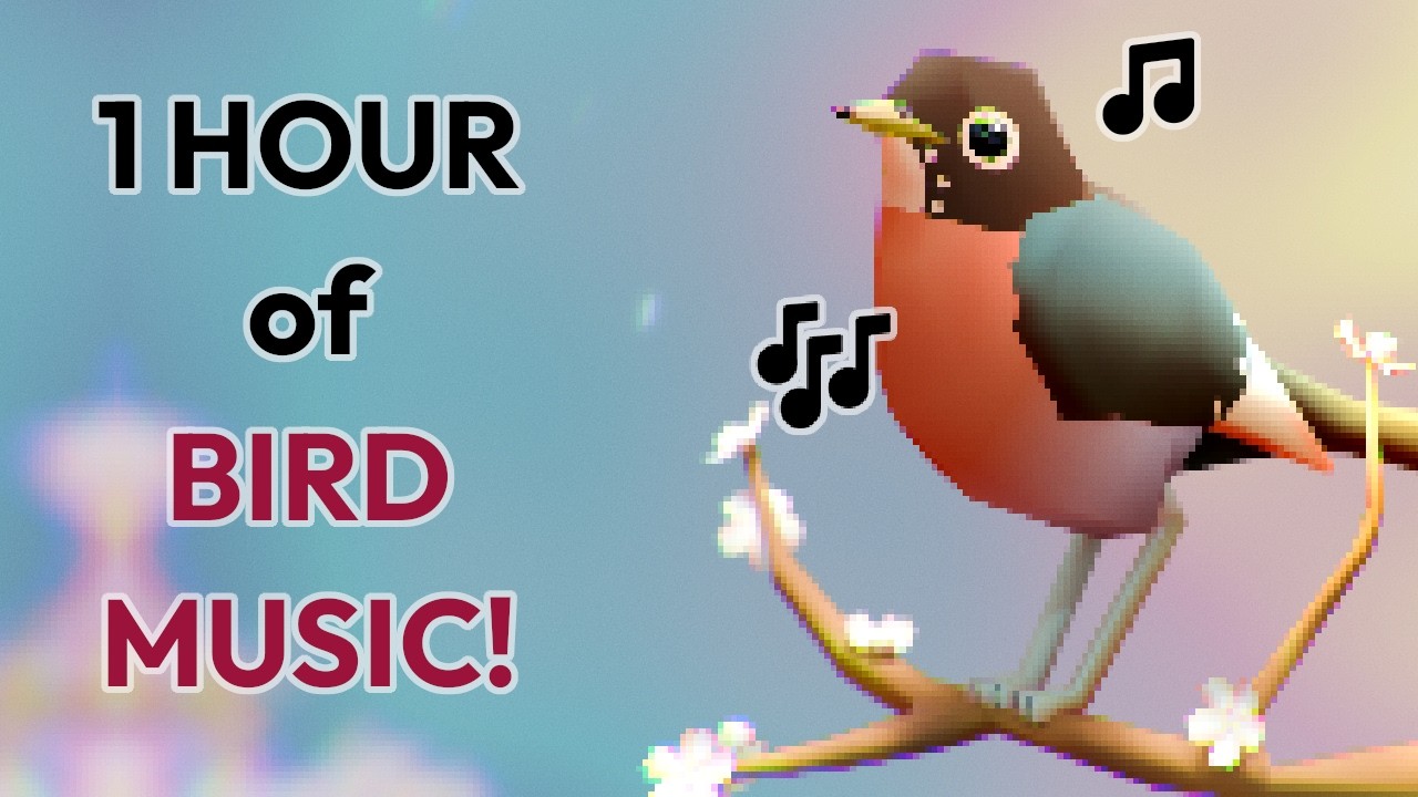 ♫ BIRD MUSIC [NO AI] | 1 hour of beautiful songs for avians and other airborne creatures ♪