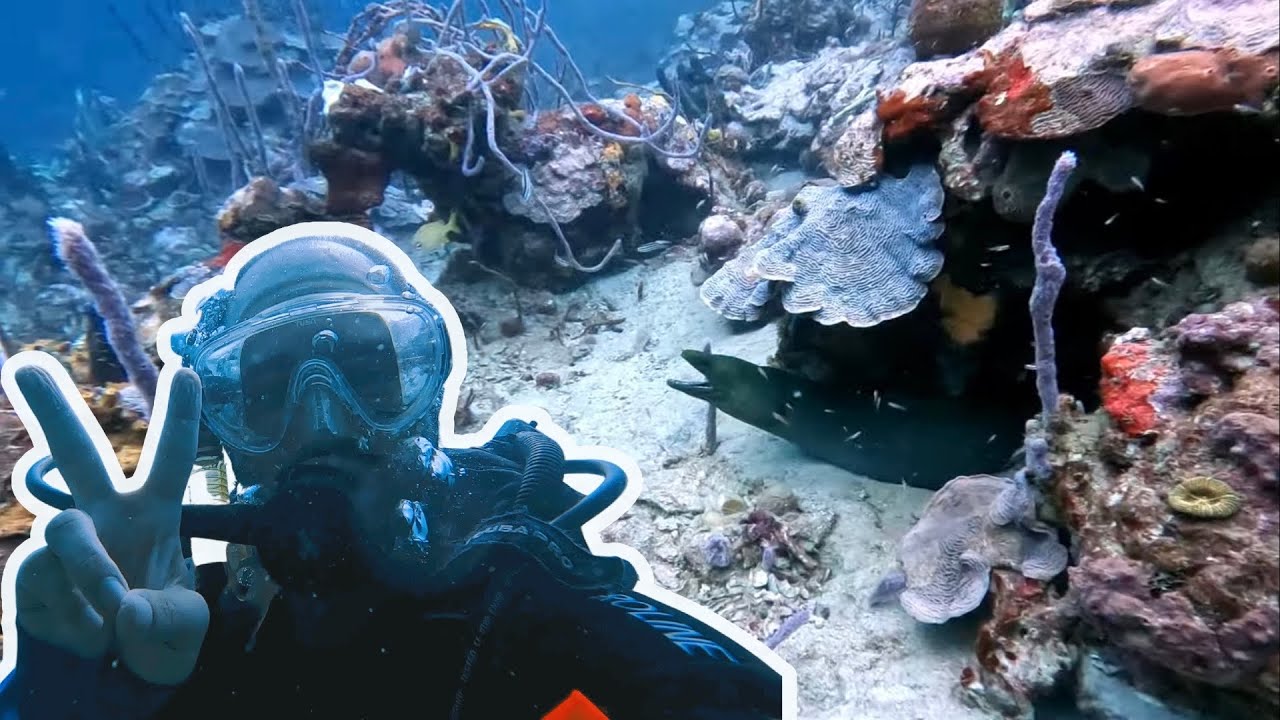 Amazing Scuba Diving in Bocas del Toro, Panama 2022