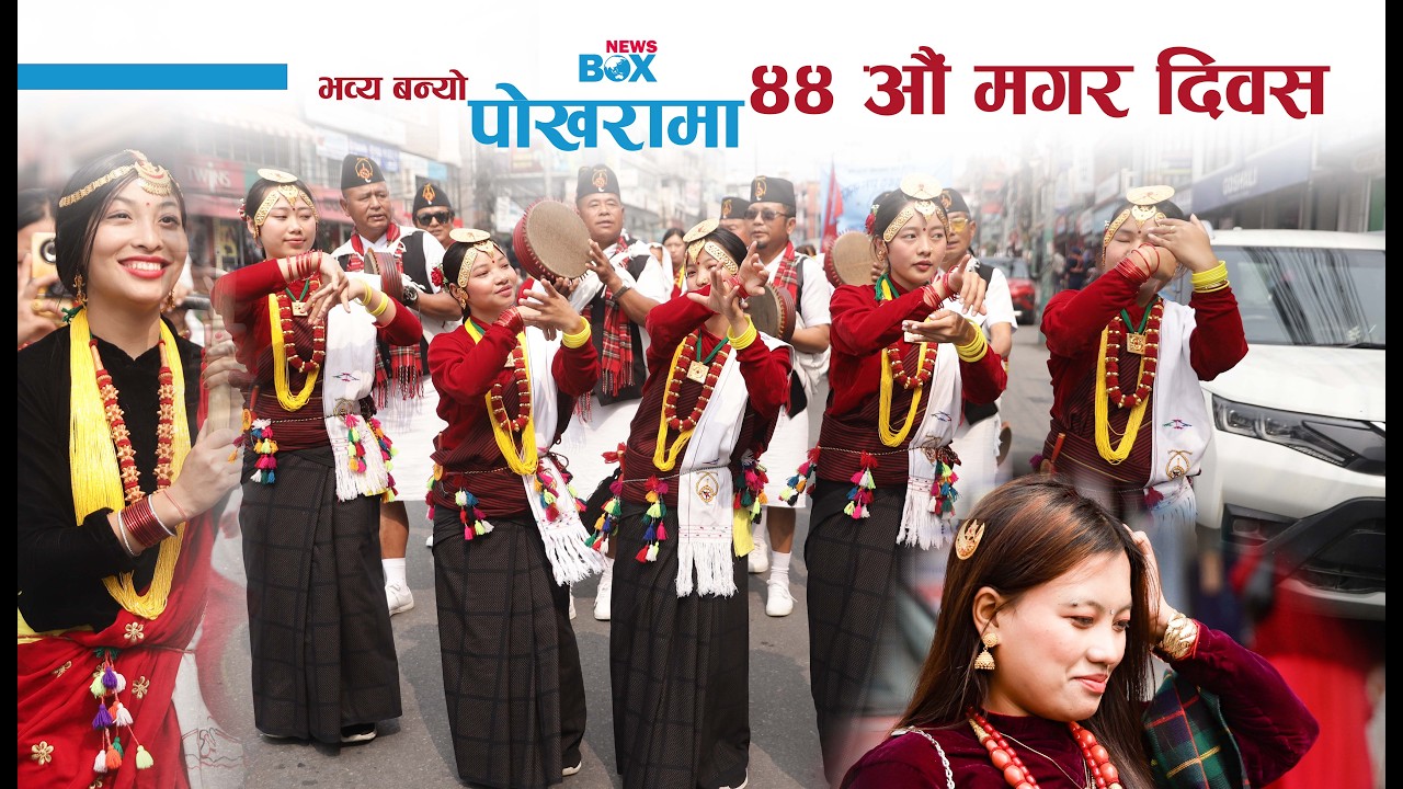 मगर दिवसमा कौडा र मारुनीले तात्यो पोखराको सडक