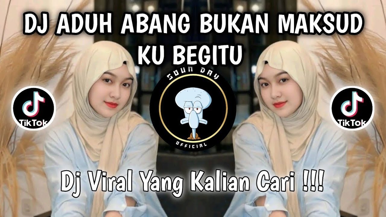 DJ ADUH ABANG BUKAN MAKSUDKU BEGITU | DJ STECU VIRAL TIKTOK TERBARU 2025 !!!