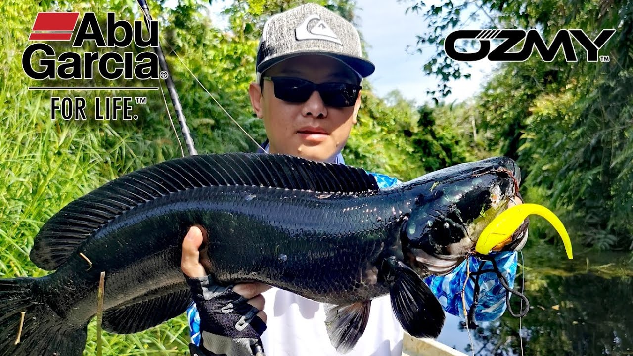 HEAVYCOVER TOMAN | MISI MENCARI BLACK