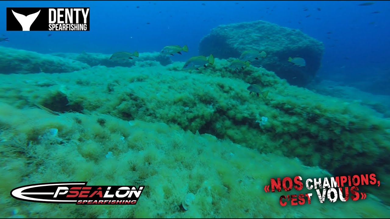 Chasse sous-marine sur L&icirc;le du Levant. Enfin de l'eau Translucide.