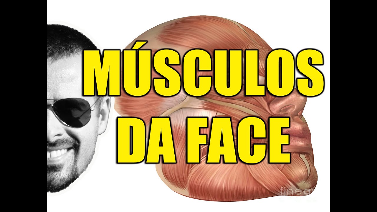 Músculos da Face: Mímica ou Expressão Facial - Anatomia Humana - Sistema Muscular - VideoAula 099