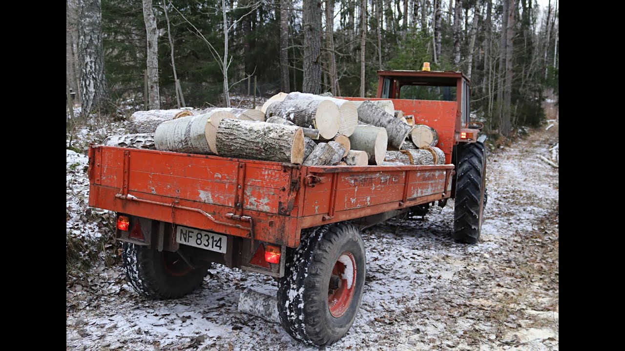 Making Firewood