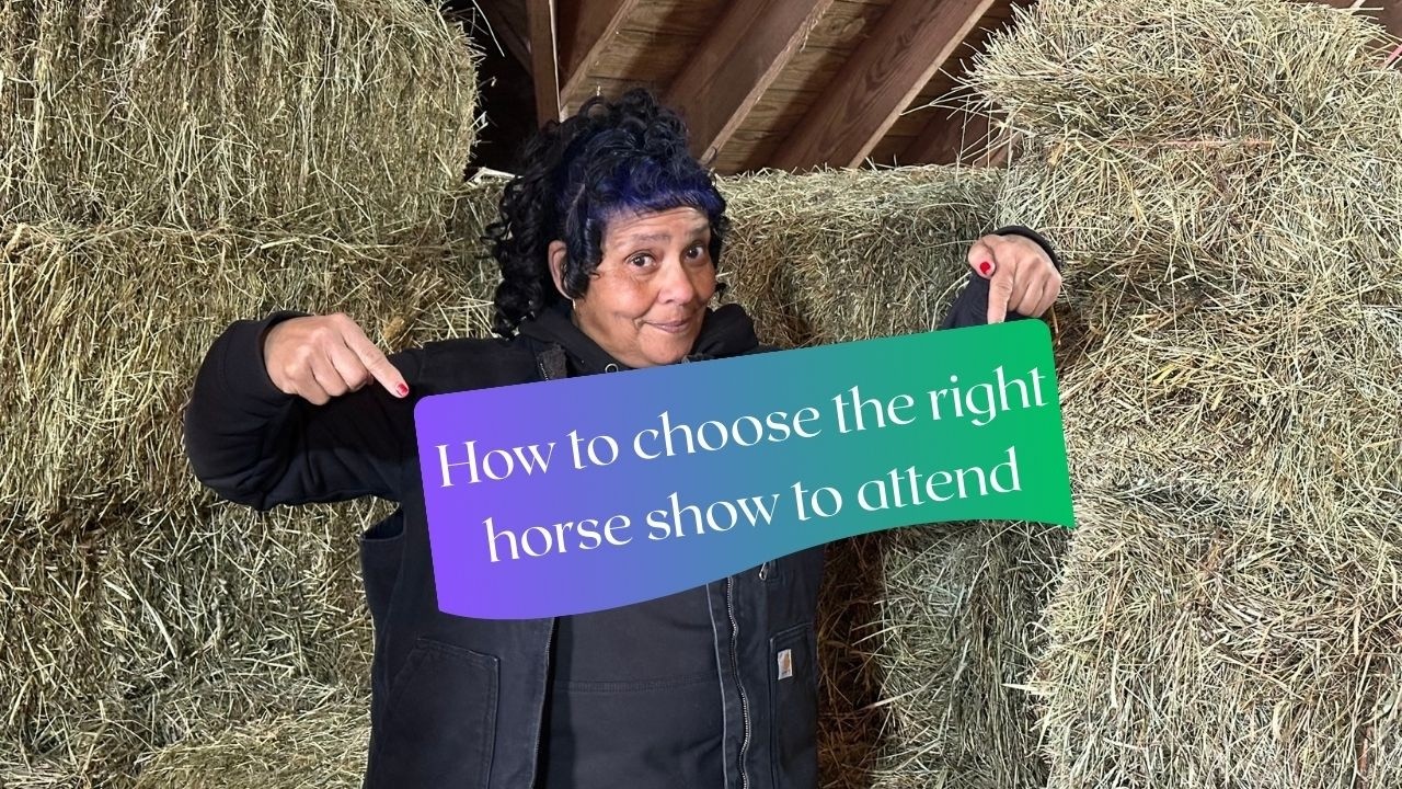 How to choose the right horse show for you and your horse to attend.
