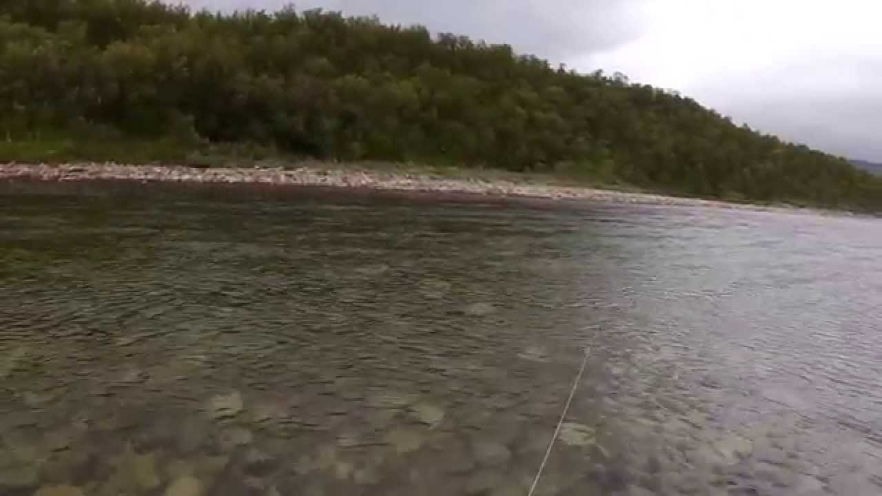 Aktion på laksefiske I Repparfjordelva. Laks 4 kg Action when fishing salmon.