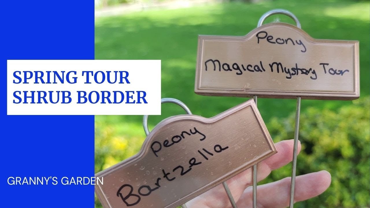 TOUR OF SHRUB BORDER IN SPRING