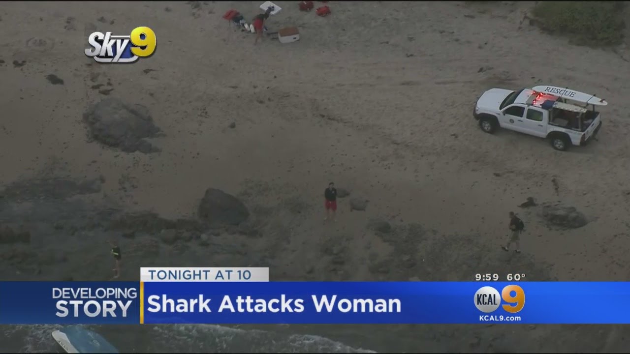 Officials Confirm Woman Attacked By Shark Off Corona Del Mar Coast