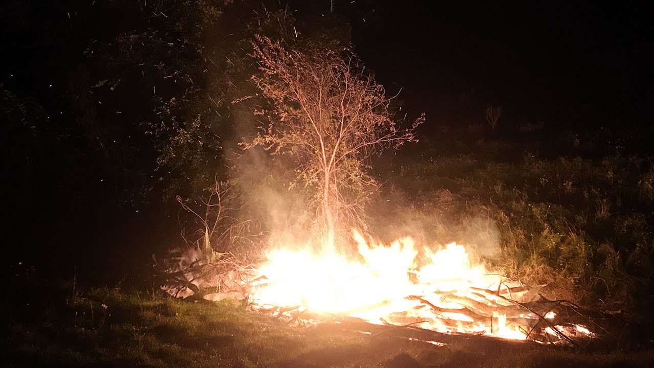 Accidental Bonfire!