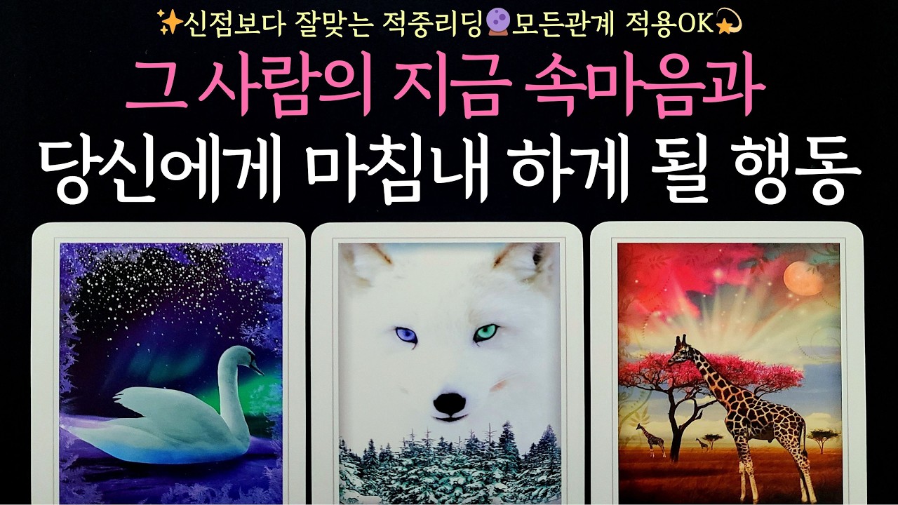 [타로] 