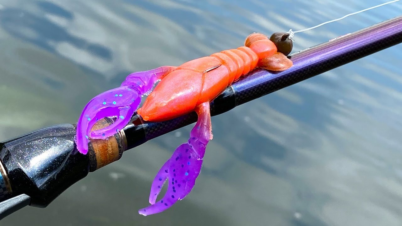 Soft Plastics | One Day Build to Catch