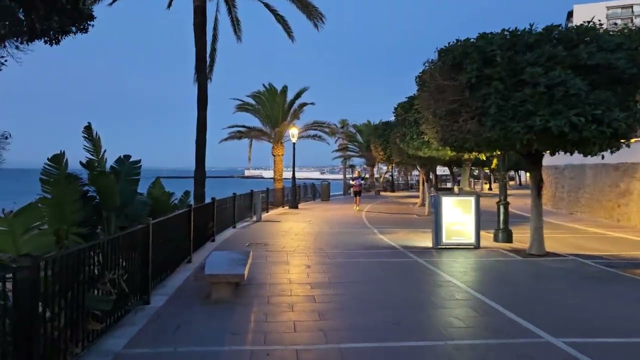 Morning stroll at Marbella seafront, February 2026