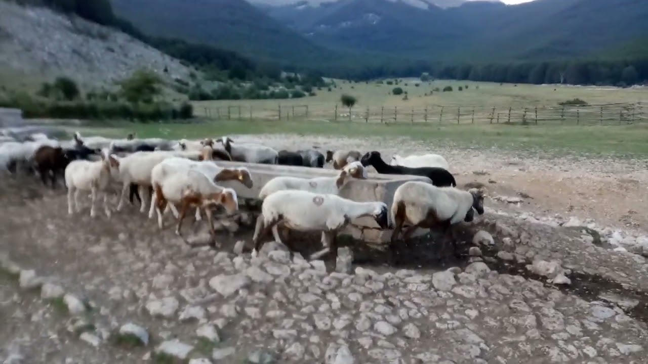 Prato di Campoli - Veroli
