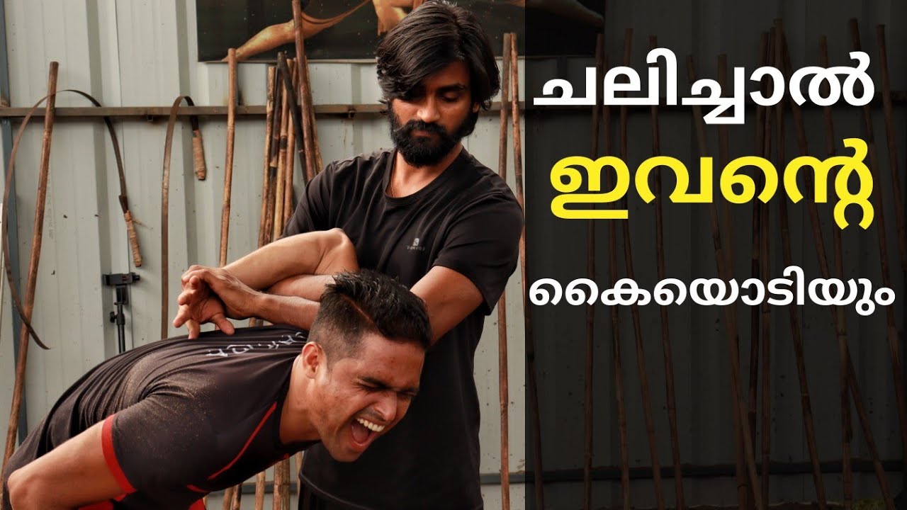 ചലിച്ചാൽ ഇവന്റെ കൈയൊടിയും/Guinness HariKrishnan gurukkal/kalaripayattu/8547968707