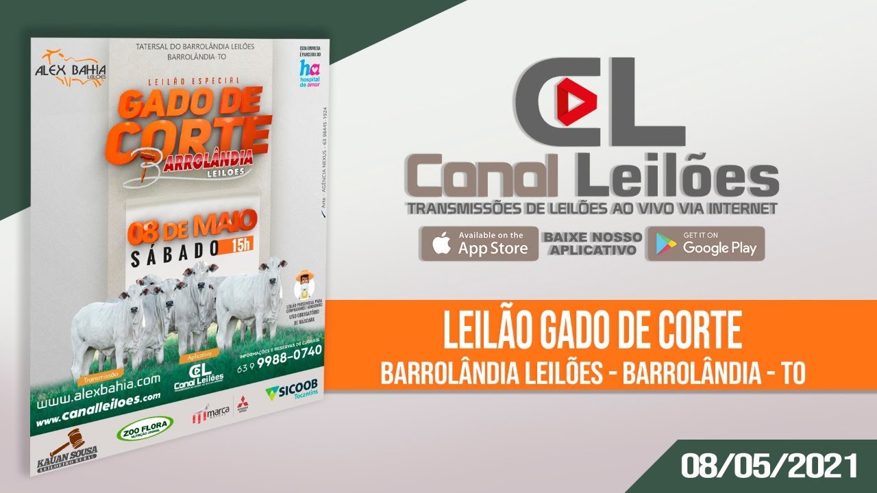 Canalleiloes.com LEIL&Atilde;O GADO DE CORTE - ALEX BAHIA LEIL&Otilde;ES BARROL&Acirc;NDIA-TO