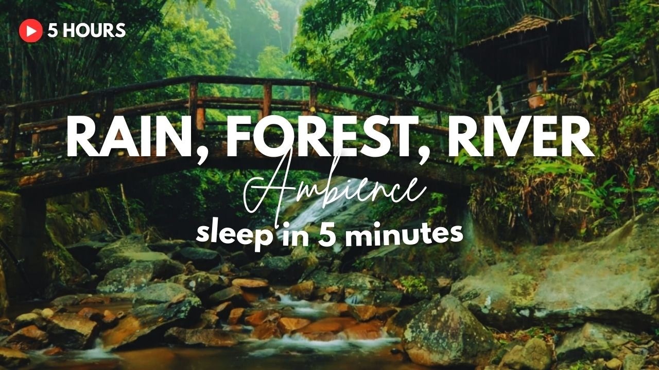 5 Hours Forest Rain Ambience  Heavy Rain and River Sounds for Sleeping and Insomnia
