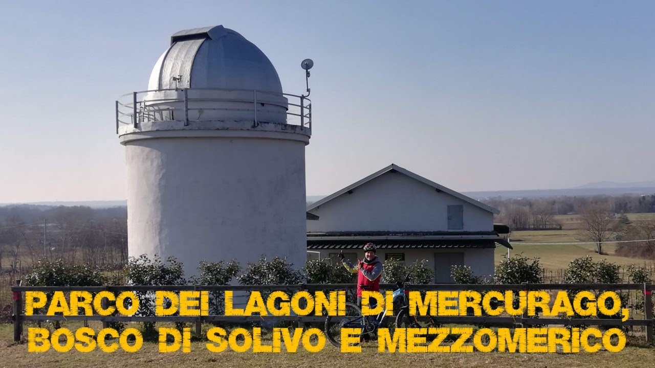Parco dei Lagoni di Mercurago, Riserva Naturale di Bosco Solivo, Bosco di Mezzomerico