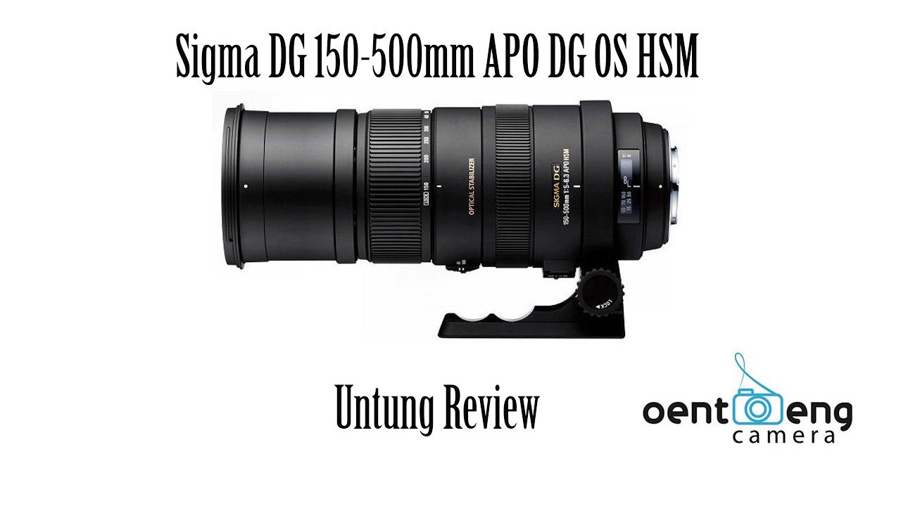 [UR] test lensa super tele murah.  sigma dg 150-500mm apo os hsm beserta hasil photo