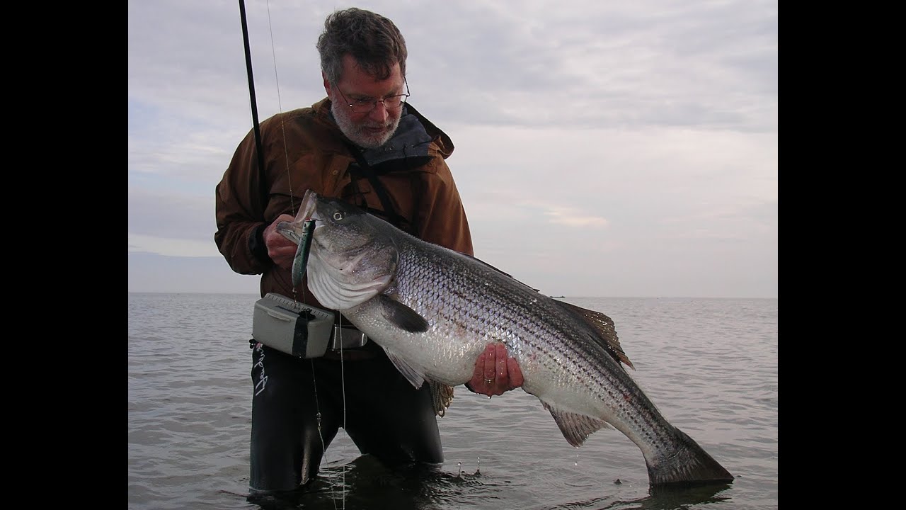 Interview with John Skinner, author of Striper Pursuit