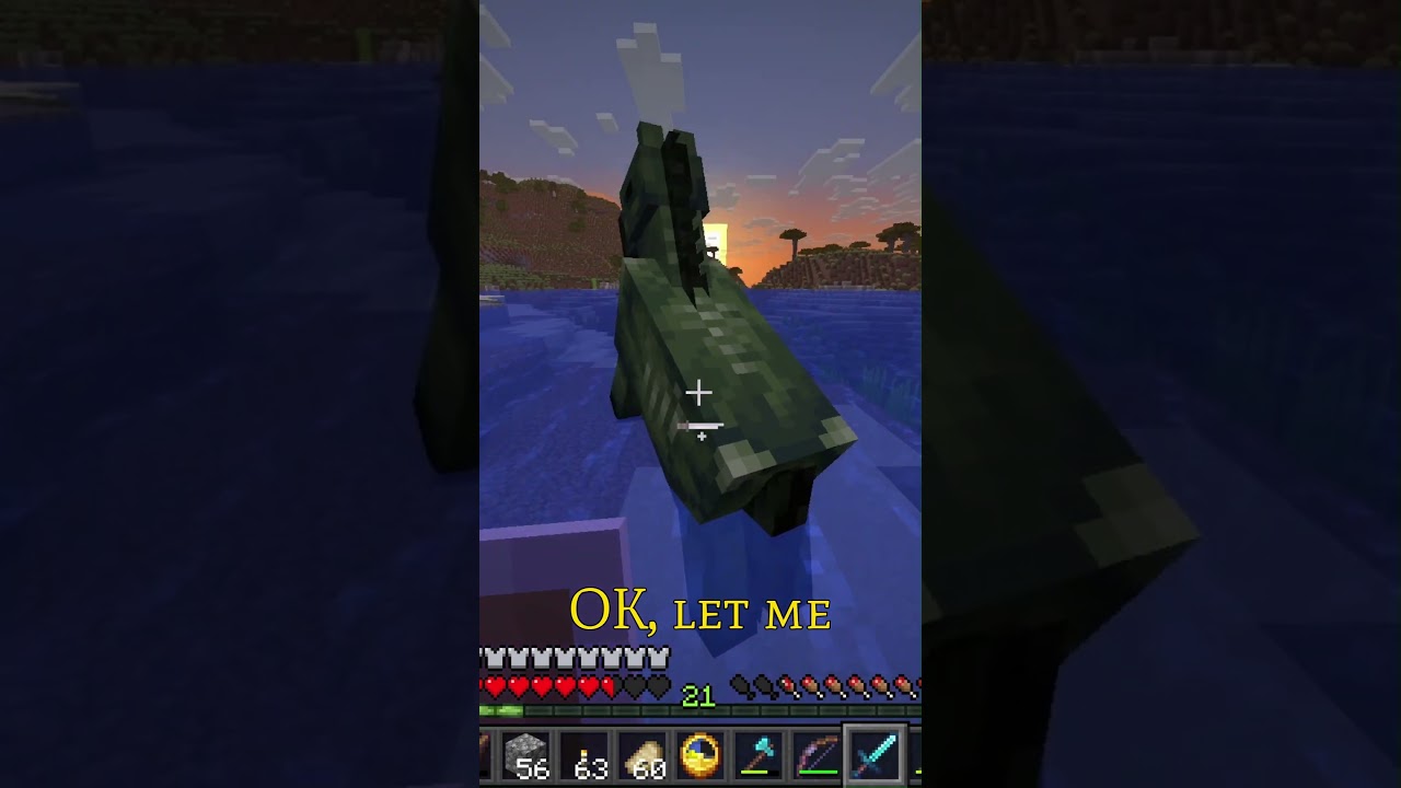 MineCraft Let's Play : Episode 51/3 