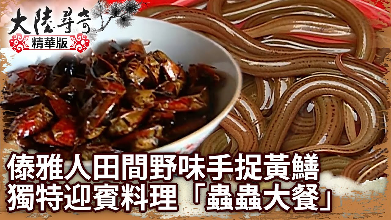 傣雅人田間野味手捉黃鱔 獨特迎賓料理「蟲蟲大餐」【@ctvchinatvEP1300】雲南映象(四) 傣族風情 Pt2/5