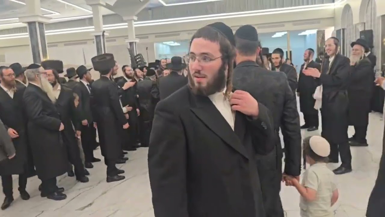 שלוימי לוי ואלעזר שטרן בחתונה סוערת💥
