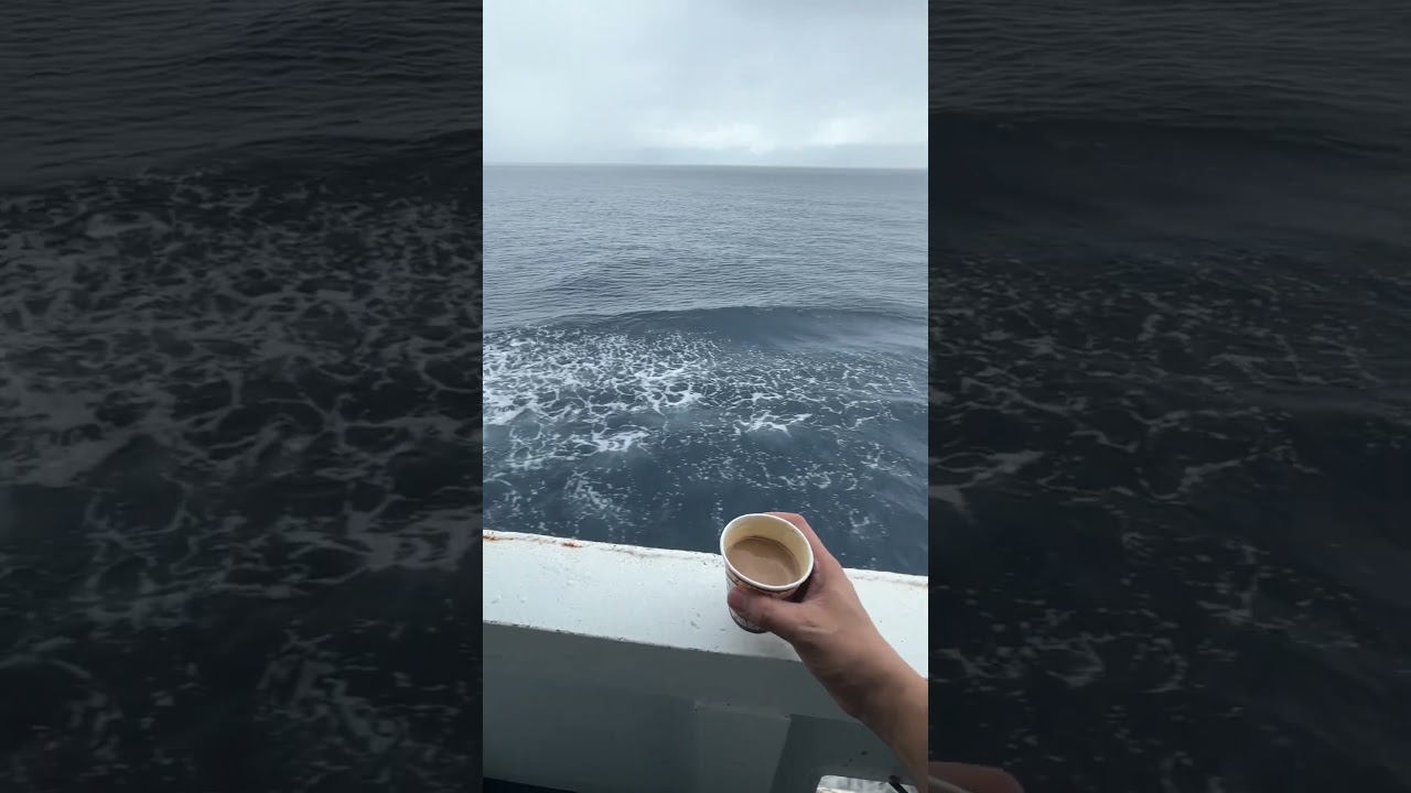 Coffee with view #coffetime #coffeeholic #travelling #travel #コーヒー #কফি #sea #ship #kape #caffeine