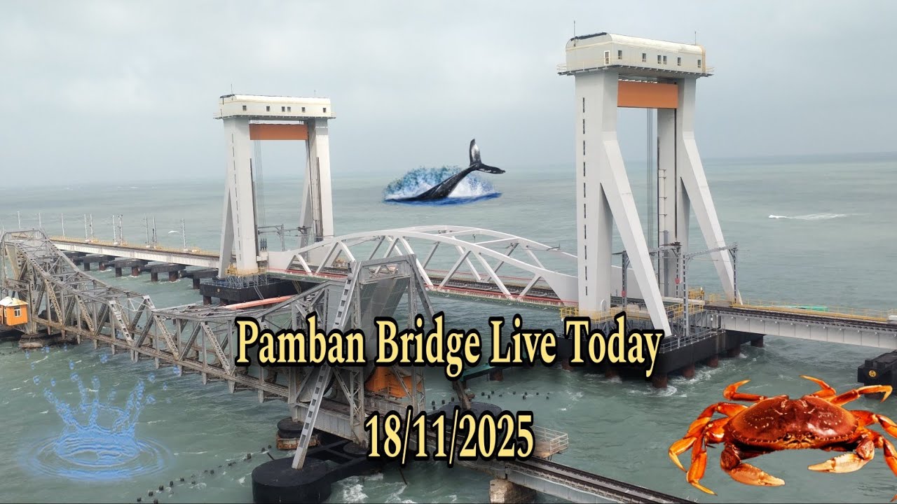 Pamban Bridge Live Today ...18/11/2025 #pambanbridge #travelvlog #dhanushkodi #rameswaram
