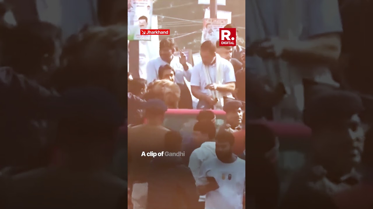 Rahul Gandhi Feeds Same Biscuit To Pet Dog & Party Worker? Video Goes Viral