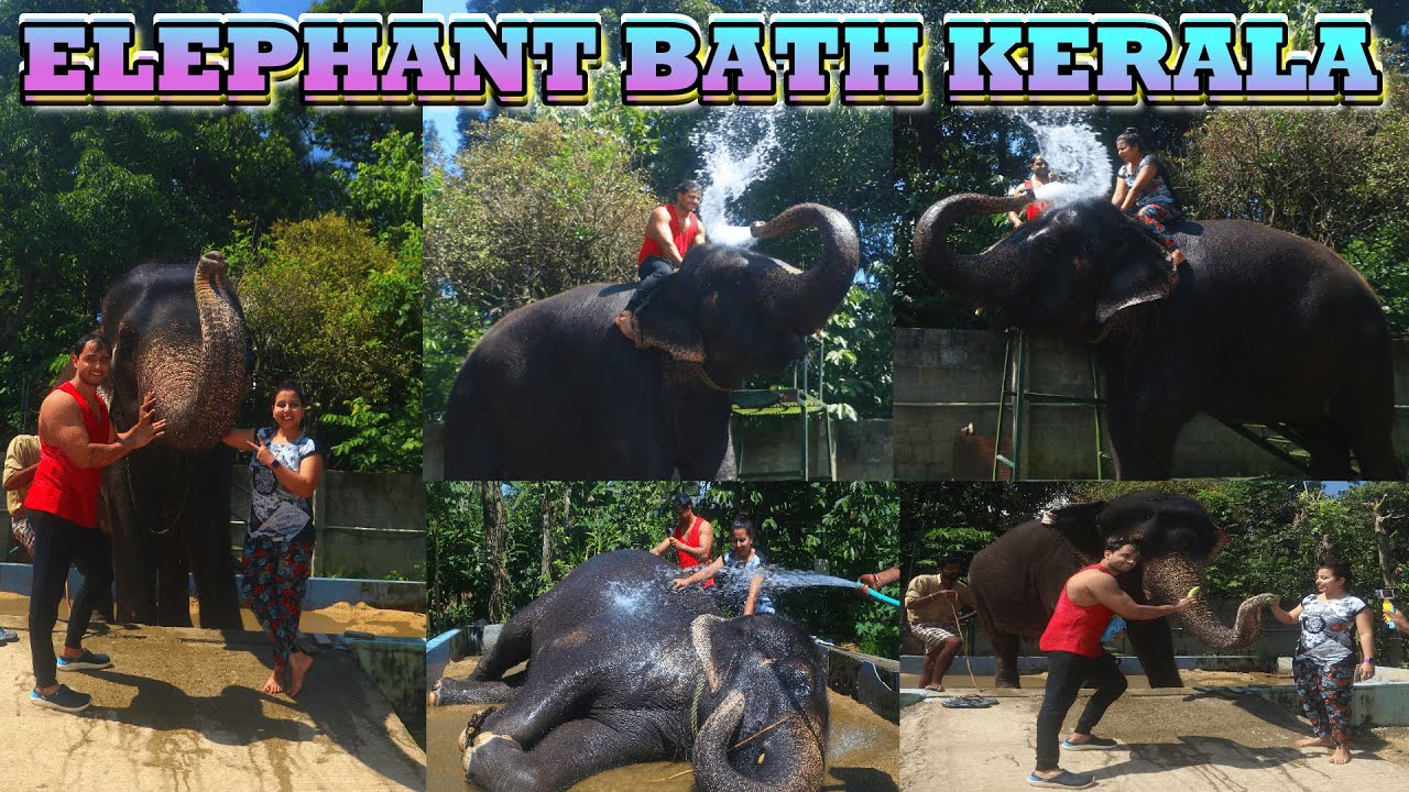 ELEPHANT BATH IN KERALA  | ELEPHANT CAMP THEKKADY | THINGS TO DO IN KERALA | KERALA TOURIST POINT