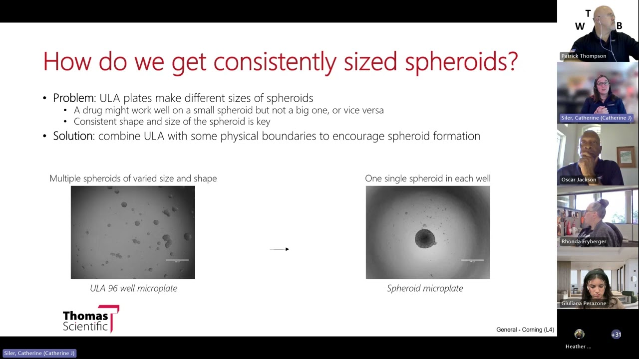 Innovative Technologies for Creating 3D Cellular Models