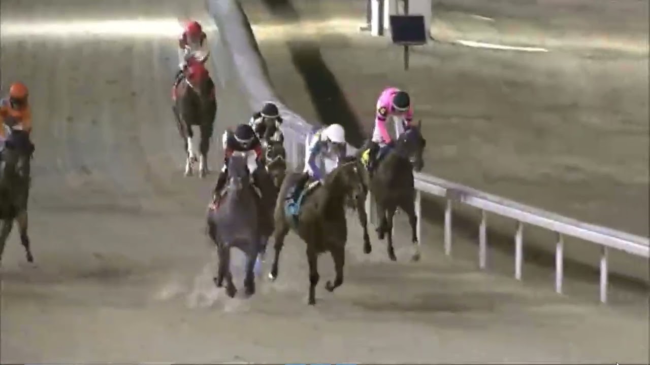 R6 Turfway Park 12 Feb 2026