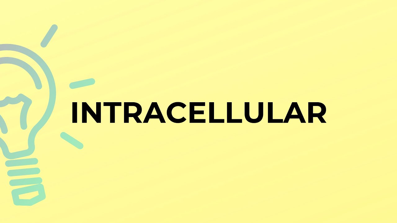 What is the meaning of the word INTRACELLULAR?